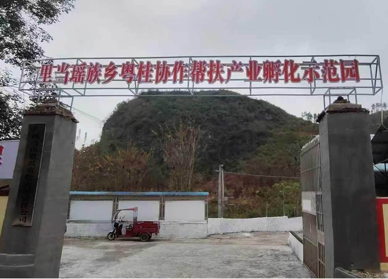 南宁工作组 南宁工作组