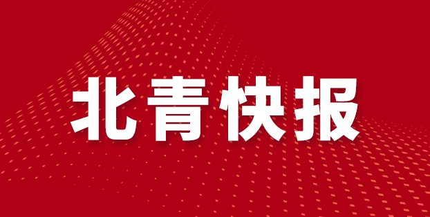 仅积, 行了反扑 仅积, 行了反扑